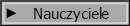 Nauczyciele